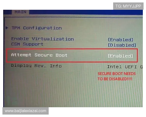 博鱼真人平台登录入口如何正确使用，避免账户被封的实用技巧全攻略