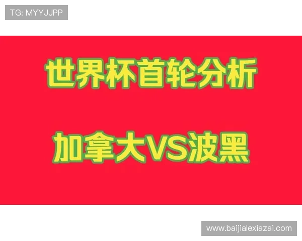 加拿大与波黑在世界杯中的关键技术统计数据全面解读与比赛表现分析